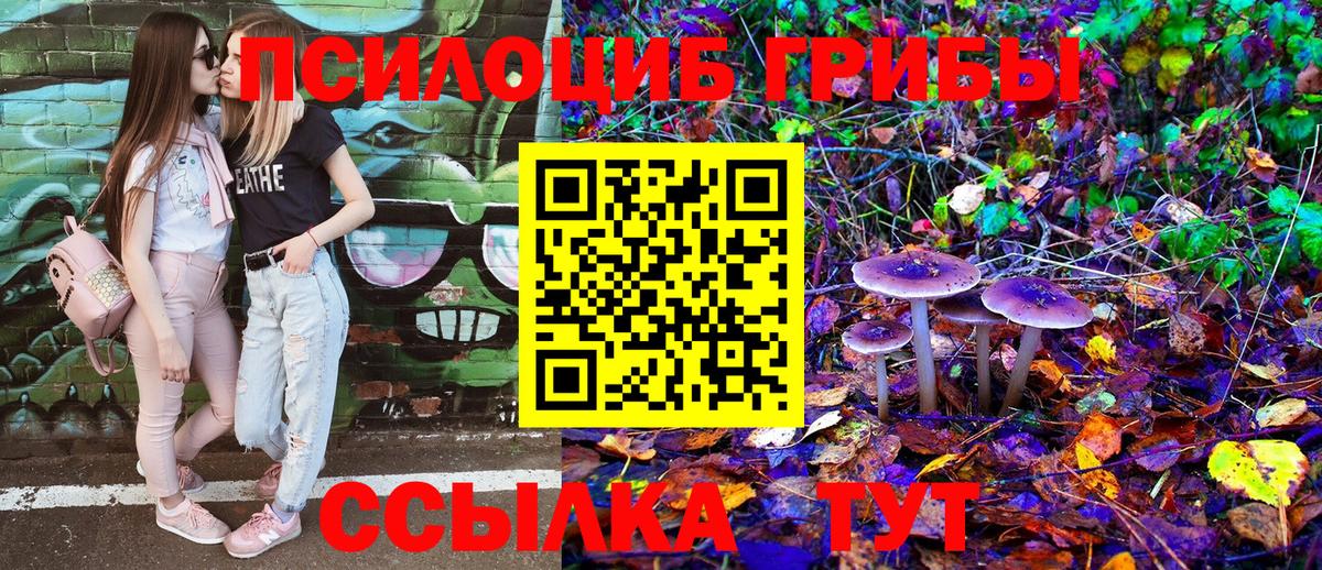 Псилоцибиновые грибы MAGIC MUSHROOMS Котовск