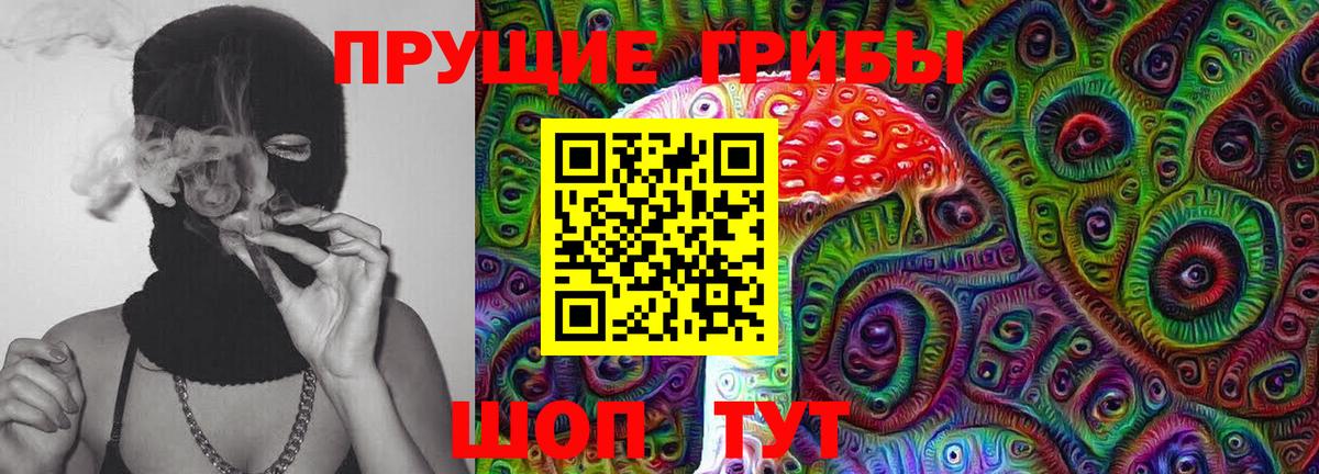 Котовск  Псилоцибиновые грибы мухоморы  Вход с VPN  Псилоцибиновые грибы MAGIC MUSHROOMS 